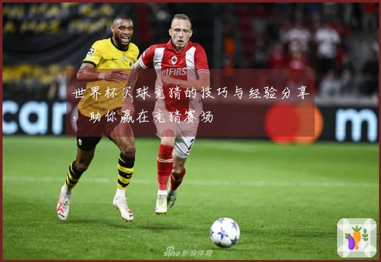 世界杯买球竞猜的技巧与经验分享，助你赢在竞猜赛场