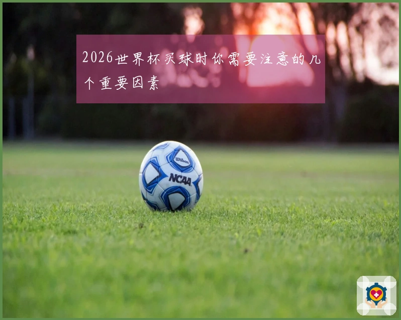 2026世界杯买球时你需要注意的几个重要因素